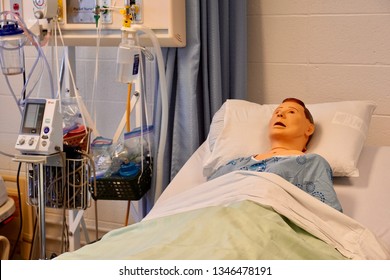 A Mannequin Fake Patient In A Simulation Centre For Health Care Professionals To Practice On