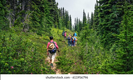 Manning Park BC Province ,Canada,July 2016.hiking On The Mountain Trail With Green Plants Backgrounds