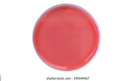 Mannitol Salt Agar Petri Dish (MSA), Isolated On White Background