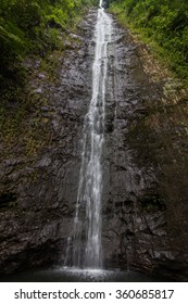 Manoa Falls