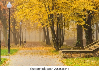 Manor Park In The City Of Ilowa, Poland In The Fall. There Are Yellow Leaves On The Trees. Fog Is Rising Between The Trees.