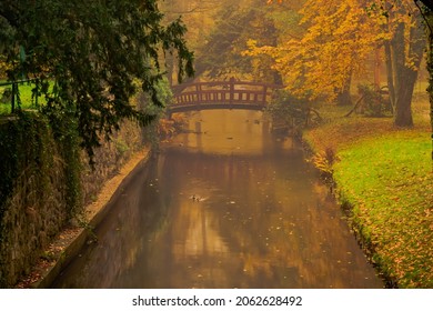 Manor Park In The City Of Ilowa, Poland In The Fall. There Are Yellow Leaves On The Trees. Fog Is Rising Between The Trees.