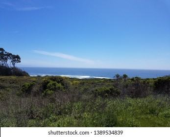 Manresa State Beach! This Is A Shot On The Pathway From The Day Use Parking Lot To The Campground. It's Very Pretty When All Of The Elements Are Right!