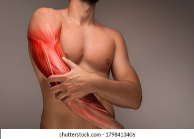 Man's Arm Pain, Human Arm Anatomy