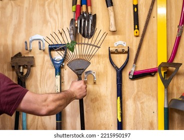 Man's arm takes lawn and leaf rake off wooden wall with various hanging DIY garden tools inside shed. Tools include shovel, hammer, fork, trowel, spirit level measure, saw etc. - Shutterstock ID 2215950197