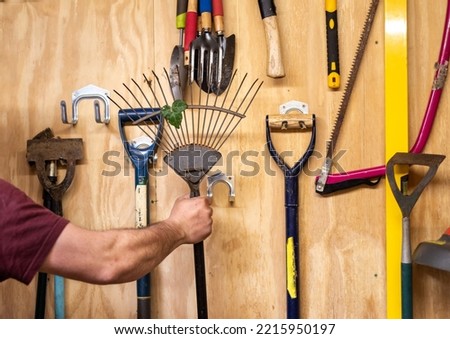Man's arm takes lawn and leaf rake off wooden wall with various hanging DIY garden tools inside shed. Tools include shovel, hammer, fork, trowel, spirit level measure, saw etc.