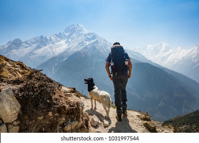 Man's Best Friend In The Himalayas