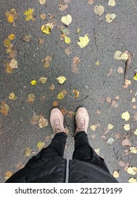 Man's Feet In Shoes On Wet Asphalt With Yellow Leaves. View From Above