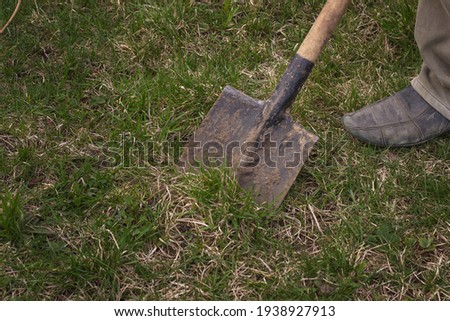 A man's foot in leather shoes digs the ground in the garden with an old shovel or a shovel in the summer garden close-up. The concept of gardening work. Garden equipment and tools. Front view