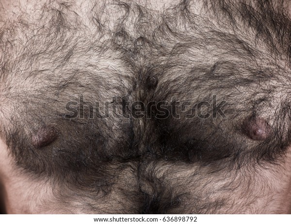 Man\'s hairy\
chest