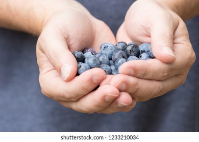 A mans hand cupping fresh blueberries
