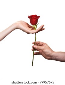 Man's Hand Giving A Rose To A Woman Who Carefuly Takes It