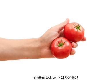 Mans hand holding red tomatoes in hand isolated on white background - Powered by Shutterstock