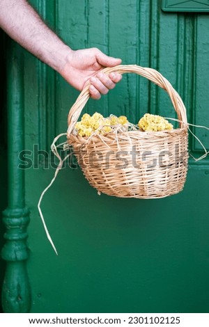 Man's hand holding wicker basket with dried yellow flowers over rustic green wooden door.