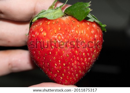 Man's hand holds out a red strawberry