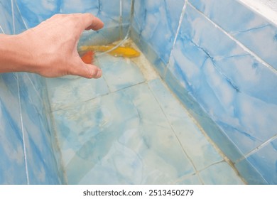 A man's hand is making a gesture of reaching down to catch a koi fish in a tiled cement pond. - Powered by Shutterstock