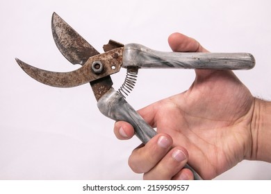 A Man's Hand With A Pruner For Plants On A White Background