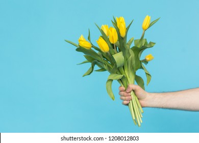 Man's hand reaching out a bunch of yellow tulips on blue background with copy space - Powered by Shutterstock
