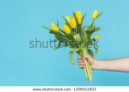 Man's hand reaching out a bunch of yellow tulips on blue background with copy space