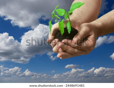Man's hand with seedling over blue sky.