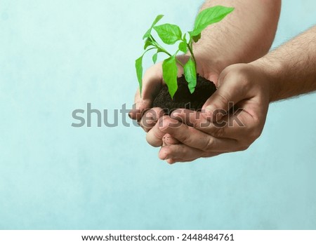 Man's hand with seedling over gray background.
