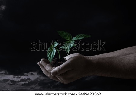 Man's hand with seedling over moody sky.