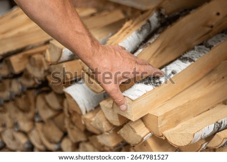 A man's hand stacking chopped birch firewood. Close-up view of freshly split logs with white bark, prepared for heating or camping. Perfect for illustrating rural life, sustainable heating.