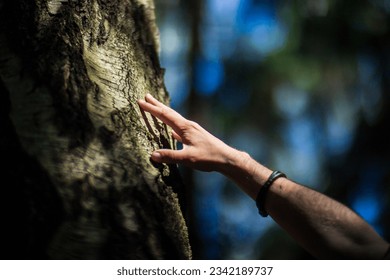 A man's hand touch the tree trunk close-up. Bark wood.Caring for the environment. The ecology concept of saving the world and love nature by human.