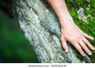A man's hand touch the tree trunk close-up. Bark wood.Caring for the environment. The ecology concept of saving the world and love nature by human.
