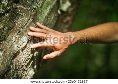 A man's hand touch the tree trunk close-up. Bark wood.Caring for the environment. The ecology concept of saving the world and love nature by human.