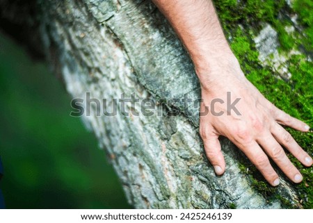 A man's hand touch the tree trunk close-up. Bark wood.Caring for the environment. The ecology concept of saving the world and love nature by human.