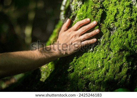 A man's hand touch the tree trunk close-up. Bark wood. Caring for the environment. The ecology concept of saving the world and love nature by human.