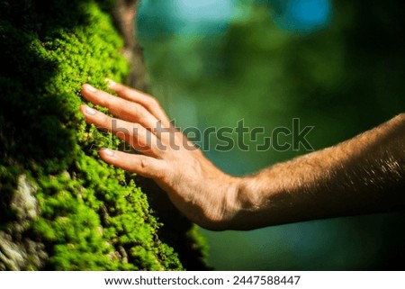 A man's hand touch the tree trunk close-up. Bark wood.Caring for the environment. The ecology concept of saving the world and love nature by human.