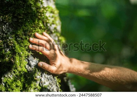 A man's hand touch the tree trunk close-up. Bark wood. Caring for the environment. The ecology concept of saving the world and love nature by human.