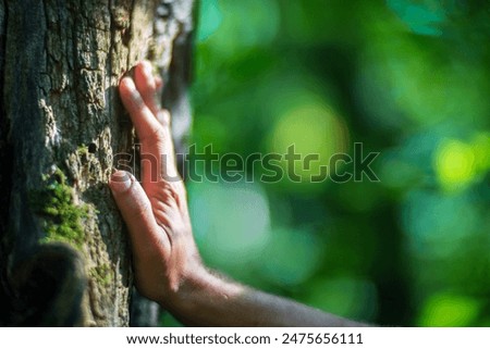 A man's hand touch the tree trunk close-up. Bark wood. Caring for the environment. The ecology concept of saving the world and love nature by human.