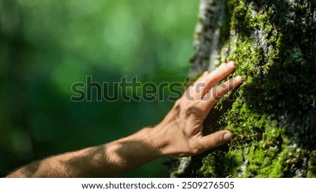 A man's hand touch the tree trunk close-up. Bark wood. Caring for the environment. The ecology concept of saving the world and love nature by human.
