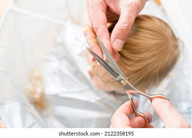 Man's hands doing blonde toddler haircut with hairdresser scissors at home. Baby boy hair cut diy