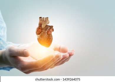 Man`s Hands Showing Anatomical Heart Model. Mixed Media.