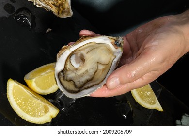 A Man's Hands Are Shucking Fresh Oysters With A Blade Of Knife, Opened Oyster Meat Close Up. Chef Opens Raw Oysters In The Restaurant, Lifestyle. Ready To Eat On A Dark Background, Luxury Food