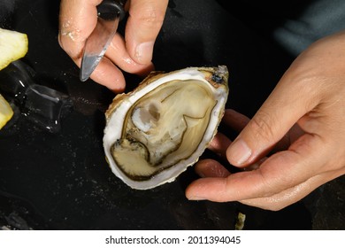 A Man's Hands Are Shucking Fresh Oysters With A Blade Of Knife, Opened Oyster Meat Close Up. Chef Opens Raw Oysters In The Restaurant, Lifestyle. Ready To Eat On A Dark Background, Luxury Food