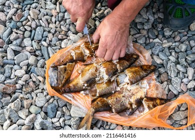 Man's Hands Slicing Grilled Fish On Picnic On Stones Of Beach, Top View