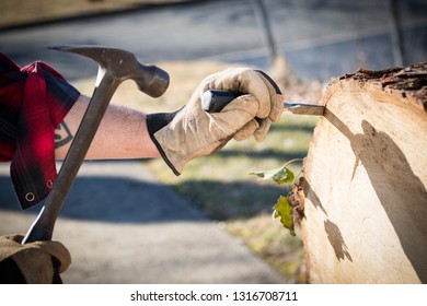 Man's hands in work gloves using hammer and chisel to remove bark from tree stump log.