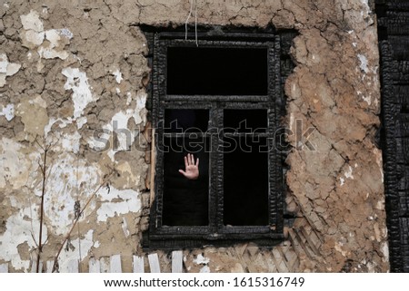 Similar – Image, Stock Photo Quitschechen forgotten