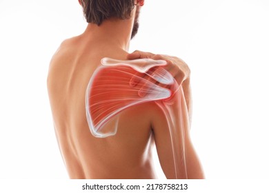 Man's shoulder pain, muscle and body structure. Human body view from behind isolated on white background. - Shutterstock ID 2178758213
