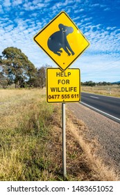 Mansfield, Victoria, Australia – March 24, 2017. ‘Koala’ Road Sign And Help For Wildlife Phone Number.