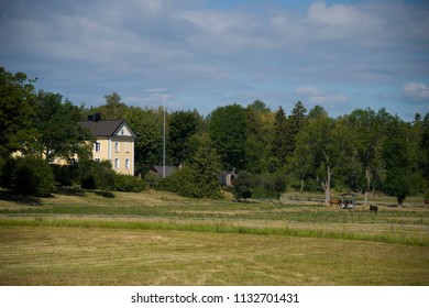 Mansion At A Meadow With Horses At Munsö In Ekerö, Stockholm