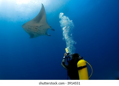 Manta Ray With Diver, Underwaterphotographer