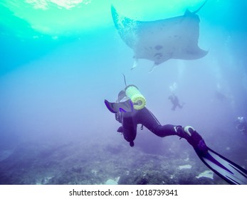 Manta Rays At Manta Point, Nusa Penida, Bali