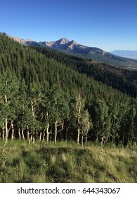 Manti La Sal National Forest, UT. 
Sea Of Aspens, And View Of Mount Tuk And Peale From Gold Knob. 