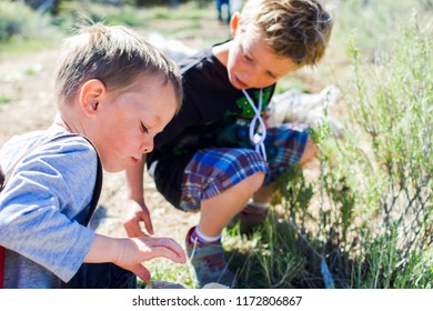 Manti, UT / United States - April 4, 2015: Two Young Little Brothers Helping Other On Easter Egg Hunt 